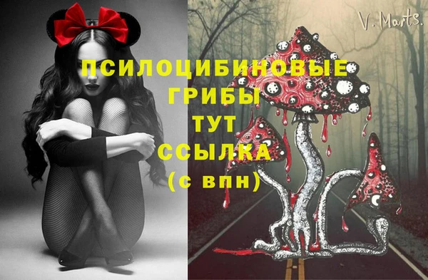дмт Волоколамск