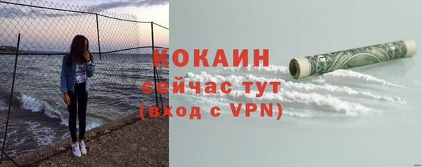PSILOCYBIN Волосово
