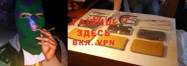 PSILOCYBIN Волосово
