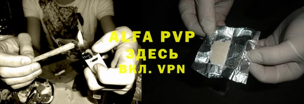 PSILOCYBIN Волосово