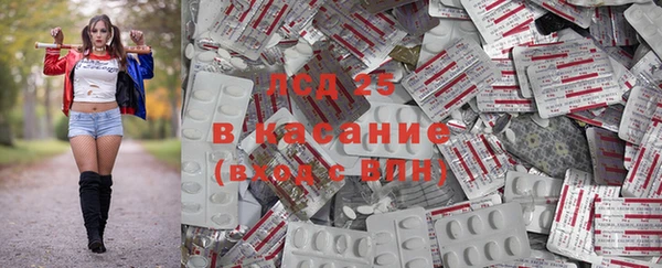 PSILOCYBIN Волосово