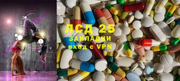 PSILOCYBIN Волосово