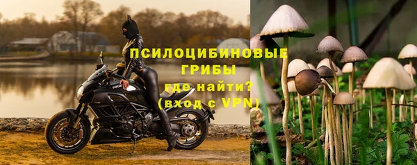 PSILOCYBIN Волосово